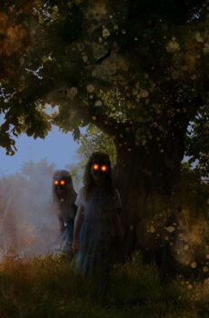 Pudelko w kształcie serca limitowane 11